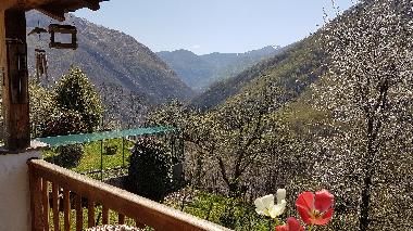 Maison de vacances �/en/au Orasso  (Verbano-Cusio-Ossola)ou appartement ou maison de vacances