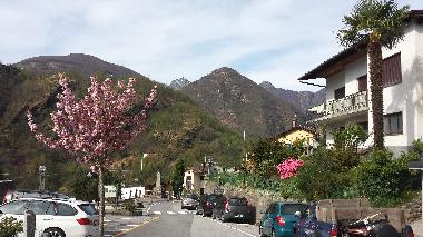 Maison de vacances �/en/au Orasso  (Verbano-Cusio-Ossola)ou appartement ou maison de vacances