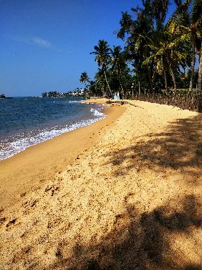 Maison de vacances �/en/au Moragalla / Godalla (Kalutara)ou appartement ou maison de vacances