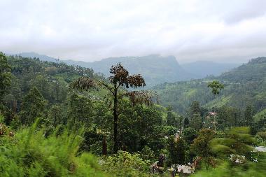 Maison de vacances �/en/au Moragalla / Godalla (Kalutara)ou appartement ou maison de vacances