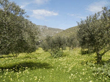 Appartement de vacances �/en/au Sivas -Kreta (Irakleio)ou appartement ou maison de vacances