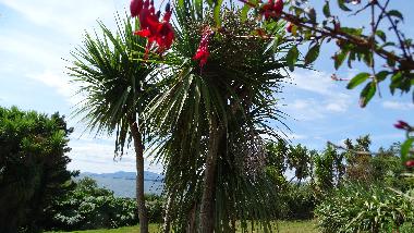 Maison de vacances �/en/au Tuosist (Kerry)ou appartement ou maison de vacances