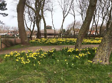 Appartement de vacances /en/au De Haan (Vosseslag) (Flandre)ou appartement ou maison de vacances