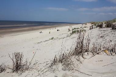 Appartement de vacances /en/au De Haan (Vosseslag) (Flandre)ou appartement ou maison de vacances