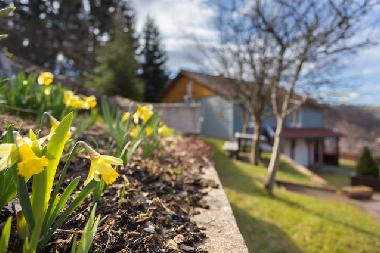 Maison de vacances �/en/au La Bresse (Vosges)ou appartement ou maison de vacances