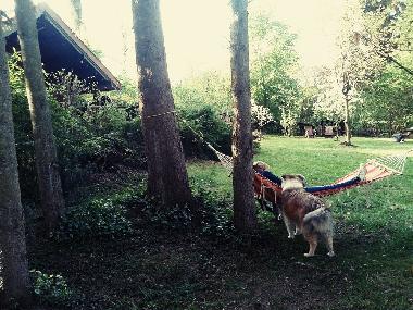 Maison de vacances �/en/au Barvaux s/o (Wallonia)ou appartement ou maison de vacances