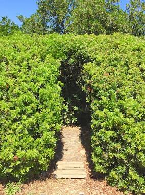 Maison de vacances /en/au Porto Vecchio (Corse-du-Sud)ou appartement ou maison de vacances