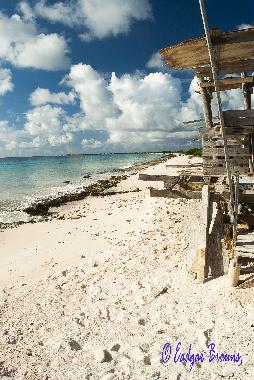 Appartement de vacances �/en/au Kralendijk (Bonaire)ou appartement ou maison de vacances