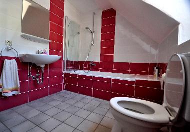 Appartement de vacances /en/au Zell Mosel (Mosel - Saar)ou appartement ou maison de vacances