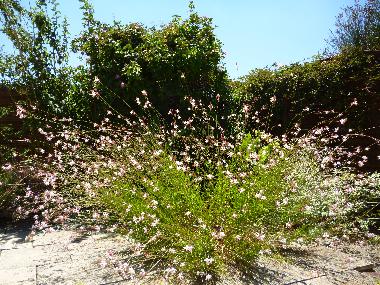autour de la piscine