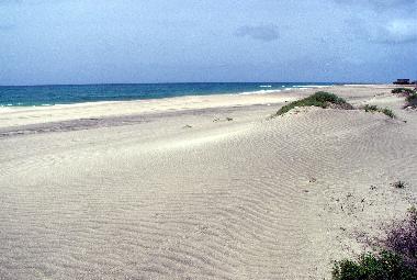 Maison de vacances �/en/au Morro / Maio (Maio)ou appartement ou maison de vacances