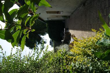 Maison de vacances �/en/au BRETTEVILLE DU GRAND CAUX (Seine-Maritime)ou appartement ou maison de vacances