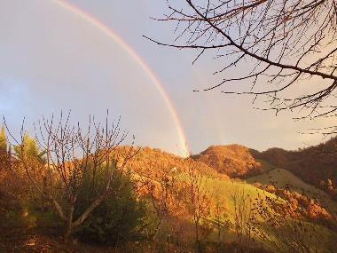 Chambre avec petit d�jeuner �/en/au Sassocorvaro (Pesaro e Urbino)ou appartement ou maison de vacances