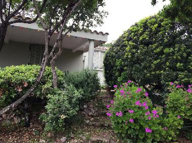 Maison de vacances /en/au Porto Vecchio (Corse-du-Sud)ou appartement ou maison de vacances