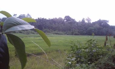 Maison de vacances �/en/au KALUTARA (Kalutara)ou appartement ou maison de vacances