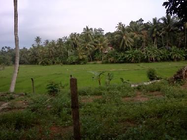 Maison de vacances �/en/au KALUTARA (Kalutara)ou appartement ou maison de vacances