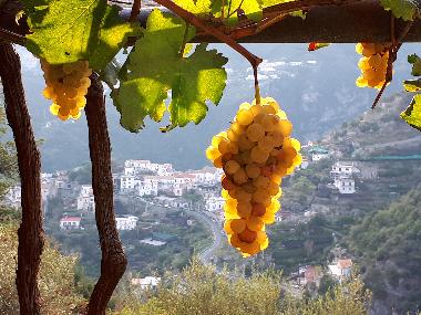 Maison de vacances /en/au RAVELLO  (Salerno)ou appartement ou maison de vacances