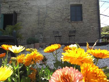 Appartement de vacances /en/au Ripatransone (Ascoli Piceno)ou appartement ou maison de vacances