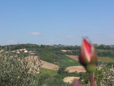 Appartement de vacances /en/au Ripatransone (Ascoli Piceno)ou appartement ou maison de vacances