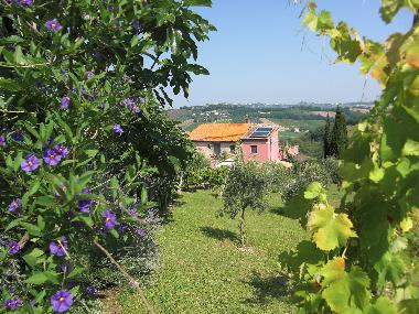 Appartement de vacances /en/au Ripatransone (Ascoli Piceno)ou appartement ou maison de vacances