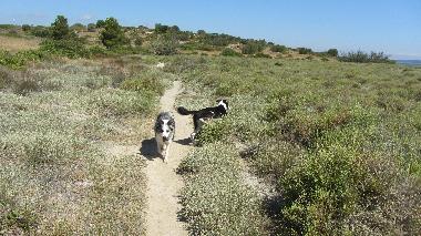 Maison de vacances �/en/au PORT FITOU (Aude)ou appartement ou maison de vacances