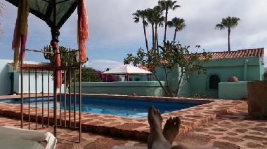 Maison de vacances /en/au Moraira (Alicante / Alacant)ou appartement ou maison de vacances