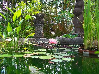 Maison de vacances /en/au Berive (Runion)ou appartement ou maison de vacances