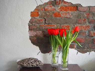 Appartement de vacances /en/au Westkapelle (Zeeland)ou appartement ou maison de vacances