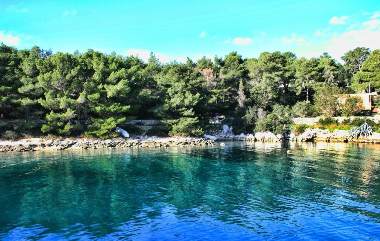 Appartement de vacances /en/au Molat (Zadarska)ou appartement ou maison de vacances