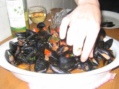 Appartement de vacances /en/au Tirrenia (Pisa)ou appartement ou maison de vacances