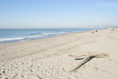 Appartement de vacances /en/au Tirrenia (Pisa)ou appartement ou maison de vacances