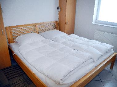 Maison de vacances /en/au Friedrichskoog-Spitze (Nordsee-Festland)ou appartement ou maison de vacances
