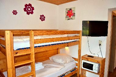 Appartement de vacances /en/au Wildschnau (Tiroler Unterland)ou appartement ou maison de vacances