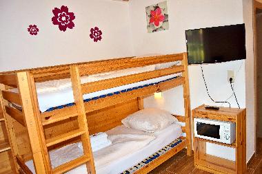 Appartement de vacances /en/au Wildschnau (Tiroler Unterland)ou appartement ou maison de vacances