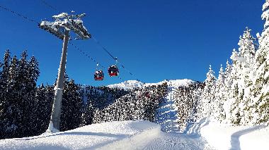 Appartement de vacances /en/au Wildschnau (Tiroler Unterland)ou appartement ou maison de vacances