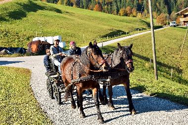 Appartement de vacances /en/au Wildschnau (Tiroler Unterland)ou appartement ou maison de vacances
