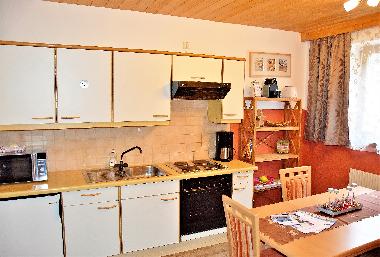 Appartement de vacances /en/au Wildschnau (Tiroler Unterland)ou appartement ou maison de vacances