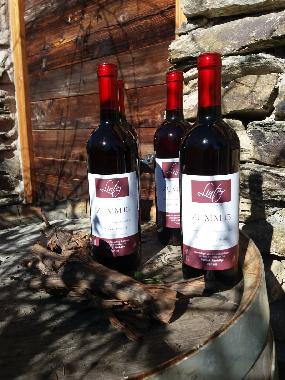 Appartement de vacances /en/au Dorf Tirol  (Bolzano-Bozen)ou appartement ou maison de vacances