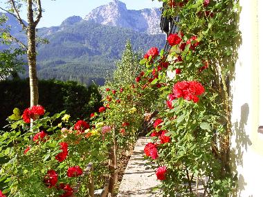 Appartement de vacances /en/au Abtenau (Salzburg und Umgebung)ou appartement ou maison de vacances