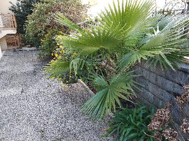 Appartement de vacances /en/au Platja d