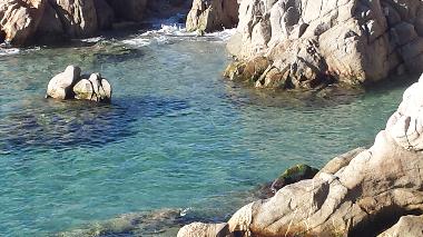 Appartement de vacances /en/au Platja d