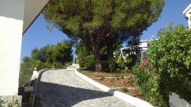 Villa /en/au Peniscola (Valencia / Valncia)ou appartement ou maison de vacances