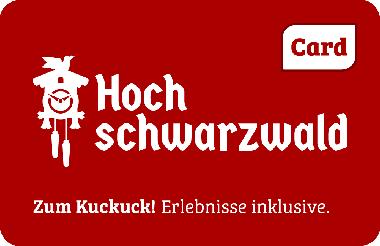 Appartement de vacances /en/au Schluchsee Fischbach (Schwarzwald)ou appartement ou maison de vacances