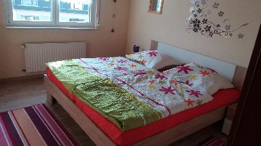 Maison de vacances /en/au Niederburg (Rheintal, Lahn, Taunus)ou appartement ou maison de vacances