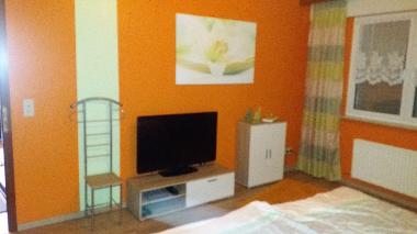 Maison de vacances /en/au Niederburg (Rheintal, Lahn, Taunus)ou appartement ou maison de vacances