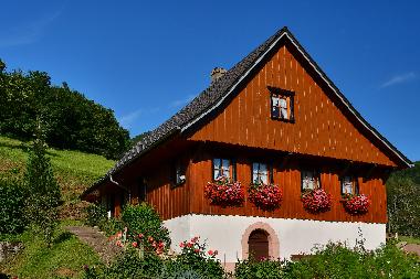 Appartement de vacances /en/au Oppenau/Schwarzwald (Schwarzwald)ou appartement ou maison de vacances