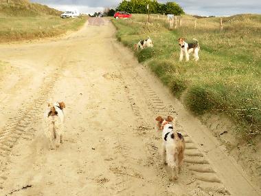 Maison de vacances �/en/au Denneville-Plage (Manche)ou appartement ou maison de vacances
