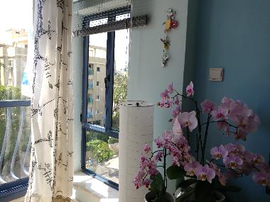 Appartement de vacances �/en/au Tel Aviv (Tel Aviv)ou appartement ou maison de vacances