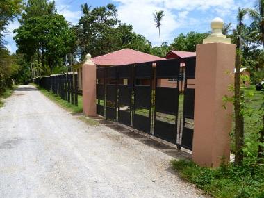 Chambre avec petit d�jeuner �/en/au S�nchez  (Samana)ou appartement ou maison de vacances