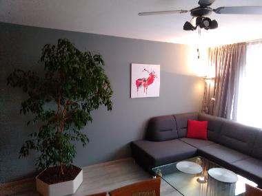 Appartement de vacances /en/au Tomaszow-Mazowiecki (Lodzkie)ou appartement ou maison de vacances